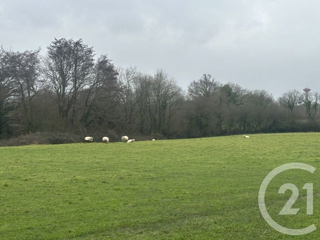 Maison à vendre - 9 pièces - 284,58 m2 - St Briac Sur Mer - 35 - BRETAGNE