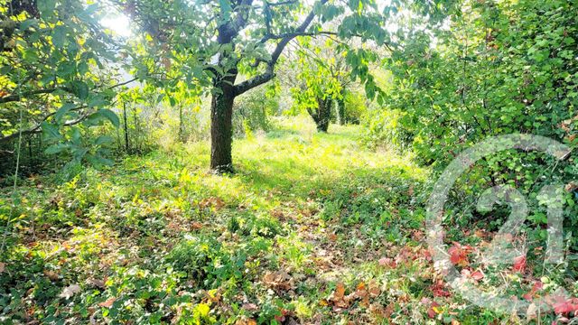 Terrain à vendre - 513 m2 - Plancoet - 22 - BRETAGNE